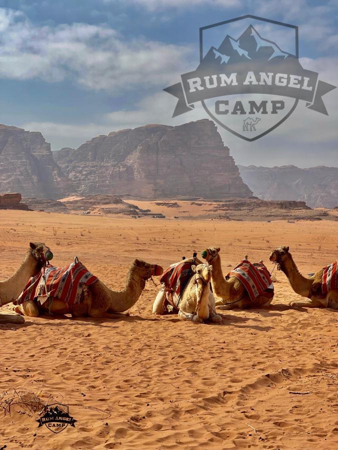Rum Angel Camp Wadi Rum Bagian luar foto