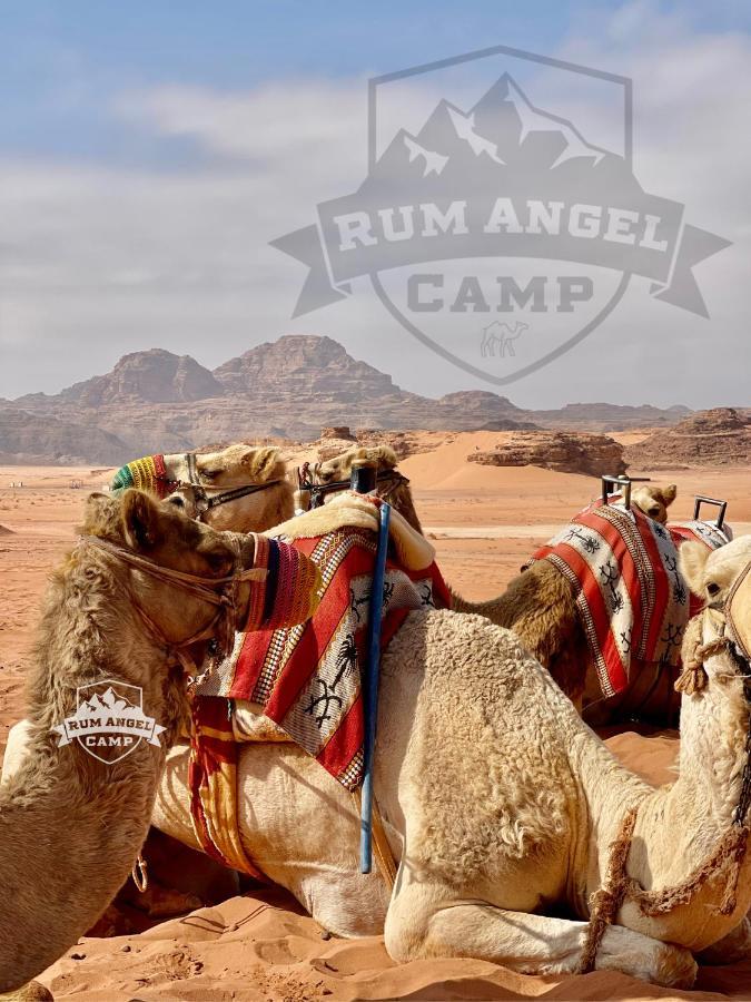 Rum Angel Camp Wadi Rum Bagian luar foto