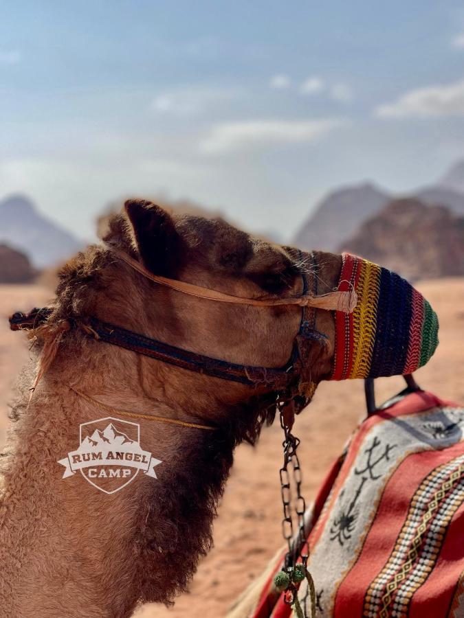 Rum Angel Camp Wadi Rum Bagian luar foto