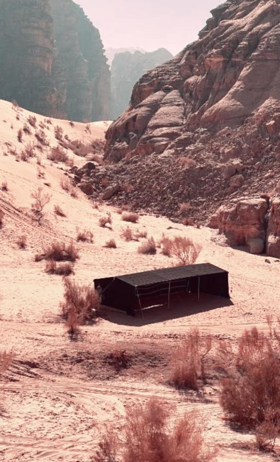 Rum Angel Camp Wadi Rum Bagian luar foto